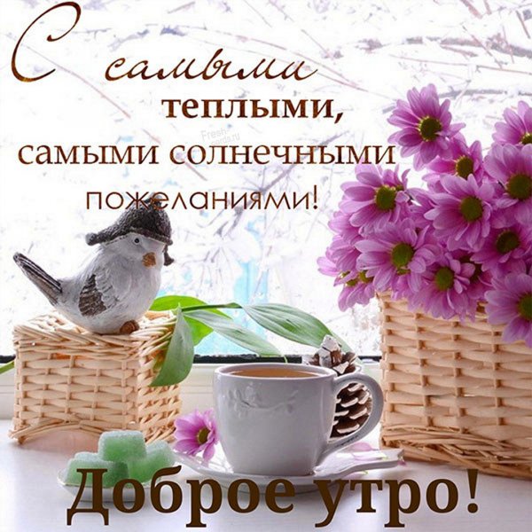 IMG-20220217-WA0002