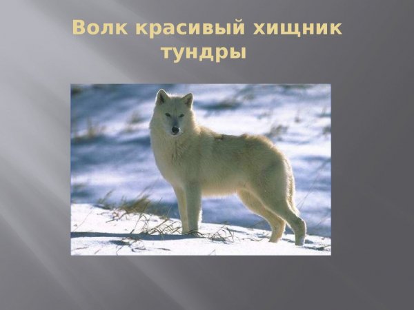 )))))))