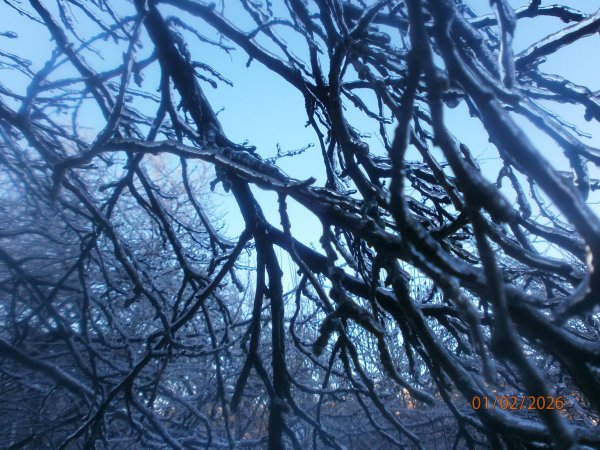 P2010001