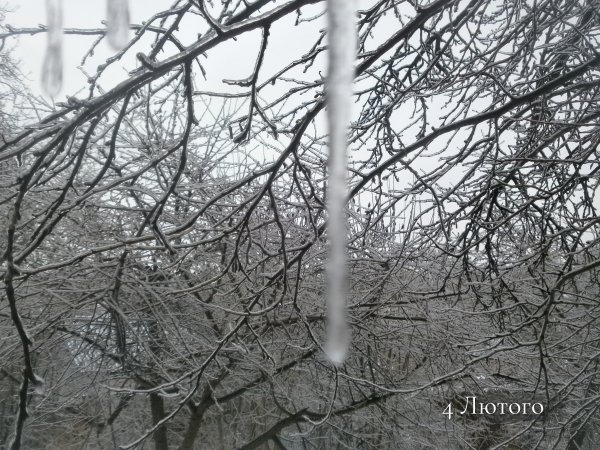 4 Лютого
