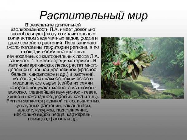 Латинская Америка