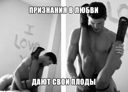 qdQj bmhNSI