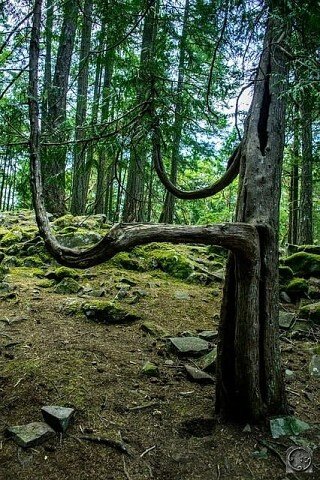 I - 2025-10-26T113331.241