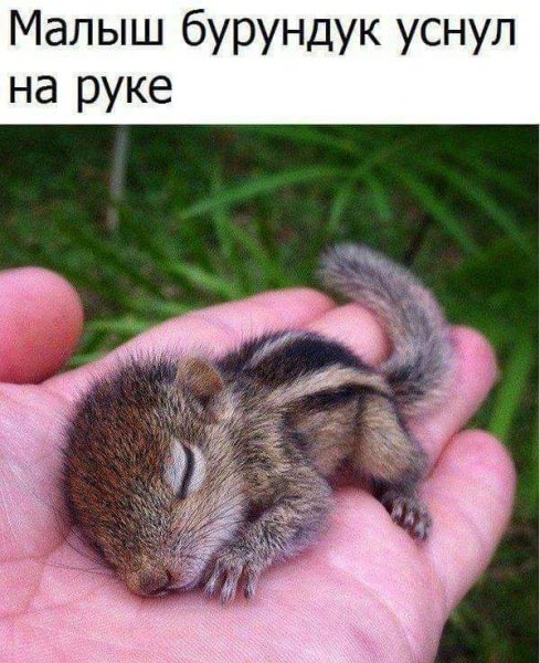 FB IMG 1625864502919