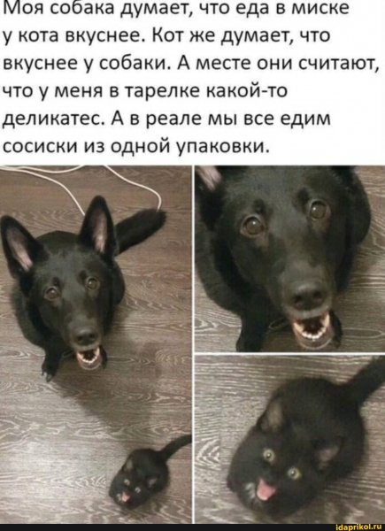 ab7146e6d4c89d8ca63f3a38ba4fd85ee5d7806a1e1d3c672a5361a0f8015