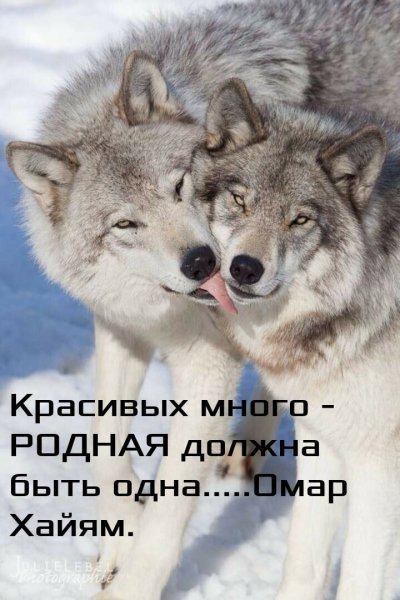 1iZYNqHd1es