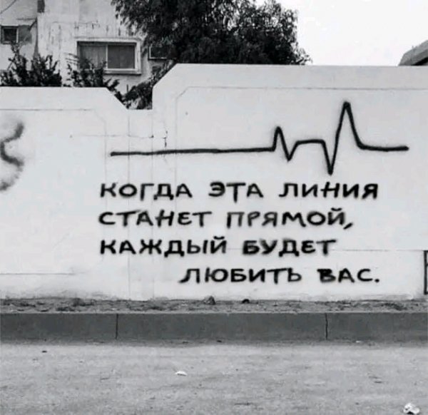 FB IMG 16679150793685509