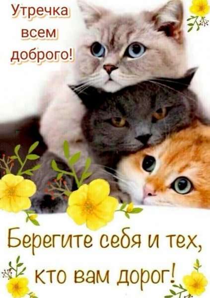 IMG 20220305 114218 673