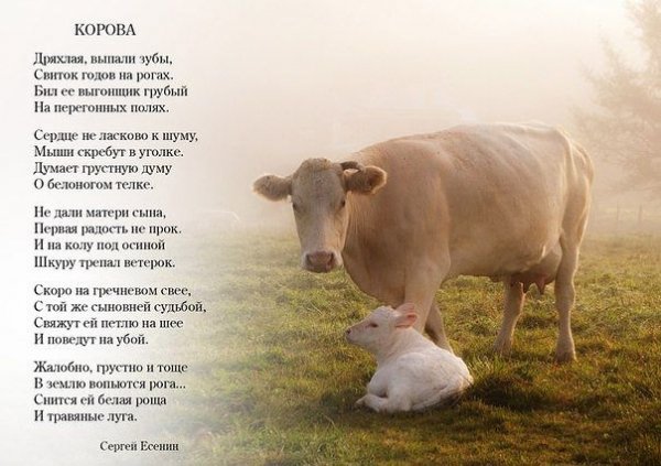 есенин