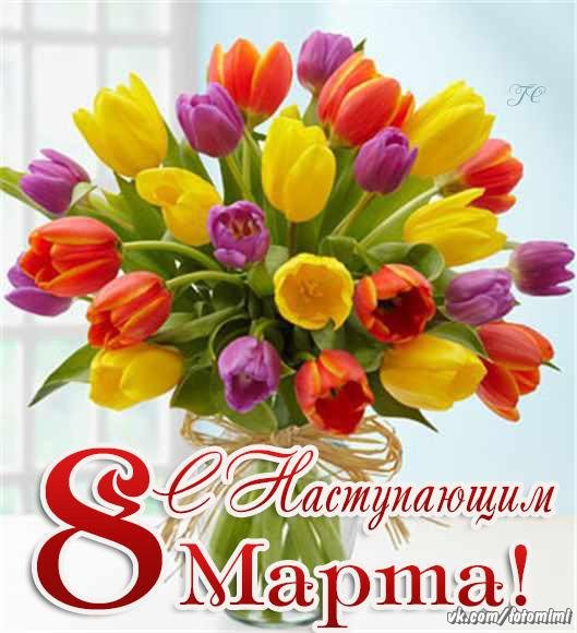 IMG-20190307-WA0012