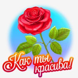 роза