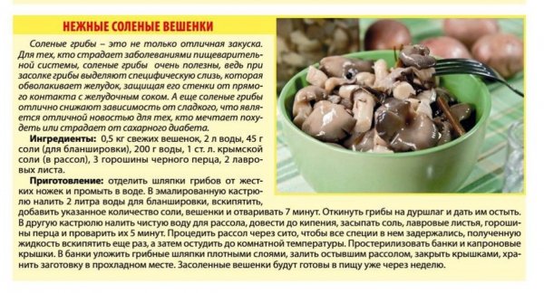 Нежные солёные вешенки