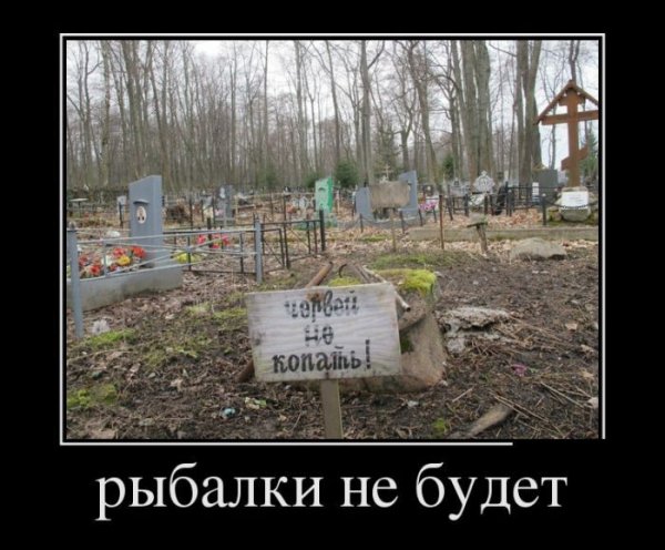 pics