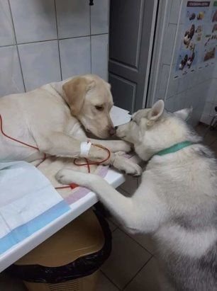 (58) Одноклассники