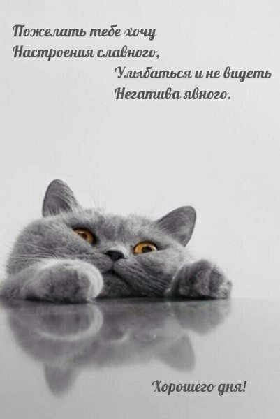 dd93115a8d2382dc2f8a5f0240