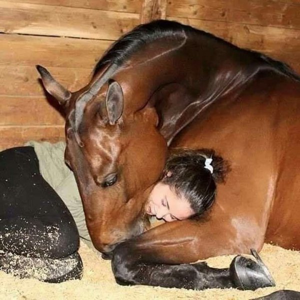 image (3) - 2020-10-04T022438.758