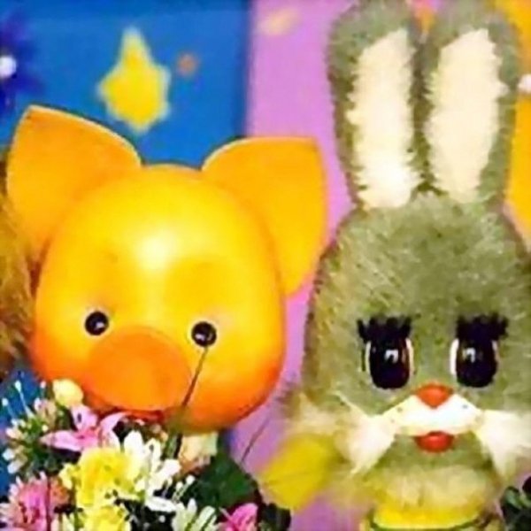 Споки ноки qz58