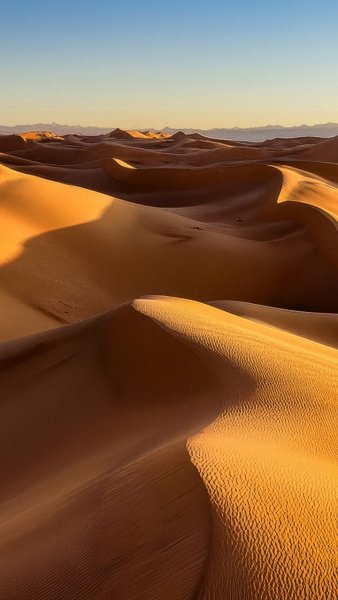 Screenshot 20260203-130606 One UI Home