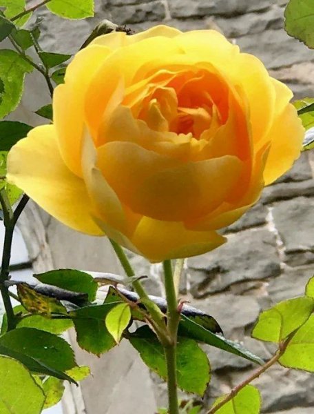 e571bff2b850f8570b24caae863f1b59