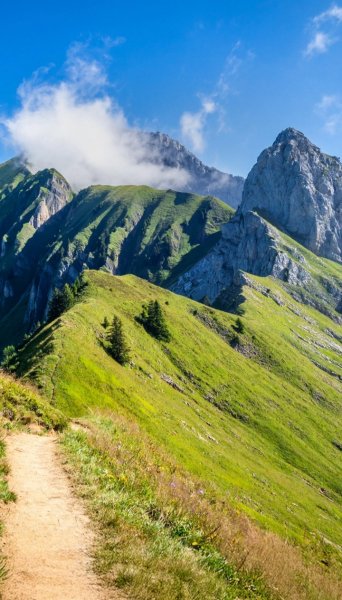 Screenshot 20251220-000636 One UI Home