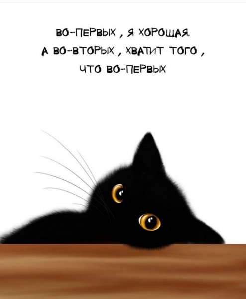 IMG 20250321 091549 131