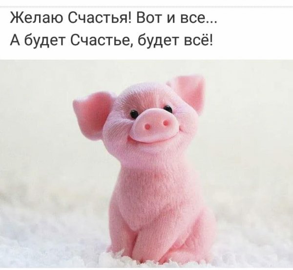 IMG-20181231-WA0005