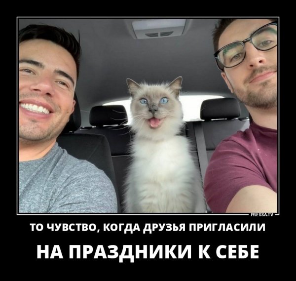 Пригласили на праздник