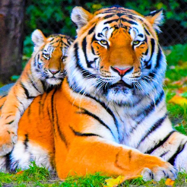 f34441bd31b55a07887d