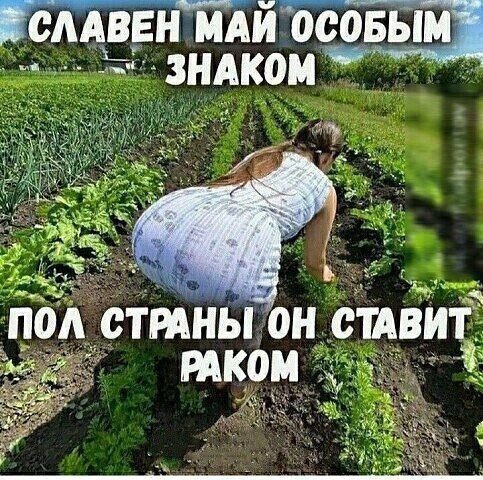 p.600.600.0