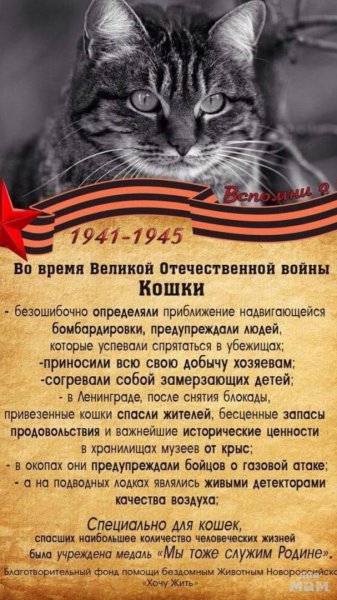 -5323809364840143430 121