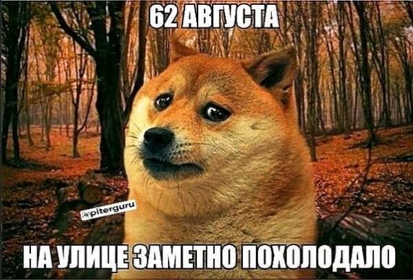 FB IMG 16961578396406644
