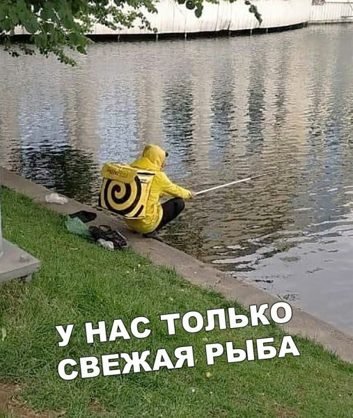 picture_373754810