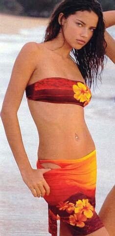 3a4d1362c6720738882411deddb62149