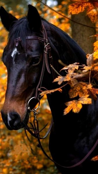 10-46-45-242332424 346059843935092 6657977265618093798 n