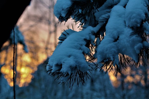 63e7581347856 IMG 6946