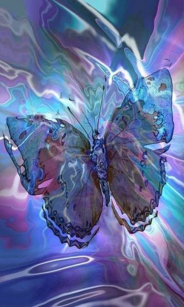 delicate-butterfly