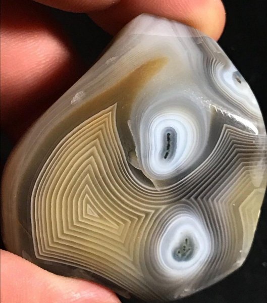 image - 2021-08-31T014246.279