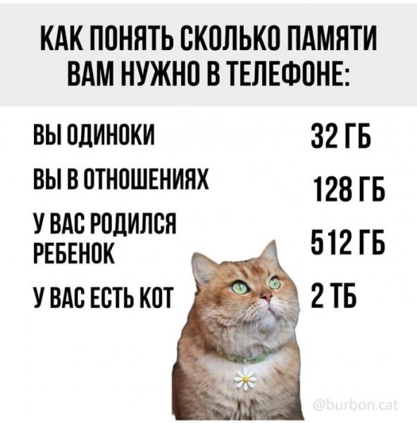 02e9b48e09 podborka-prikolny-memov-pod-chashku-kofe-01