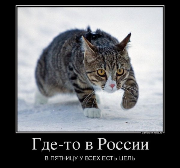 Да! ))