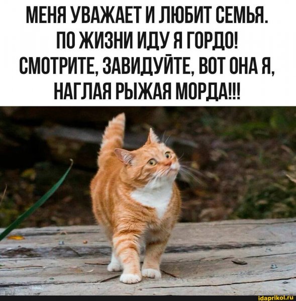 КотЭ)