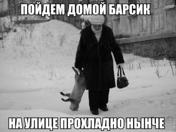 Smeshnyh-kartinok-i-memov-dlja-vashego-nastroenija-20