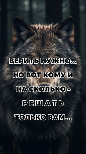 picture_409156948