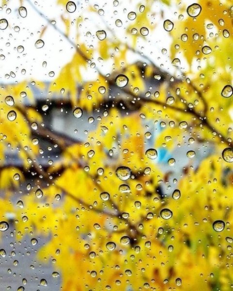 А дождь топтался около окна, хотел узнать, что делается в