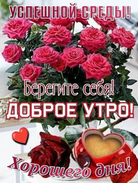 Друзья мои!