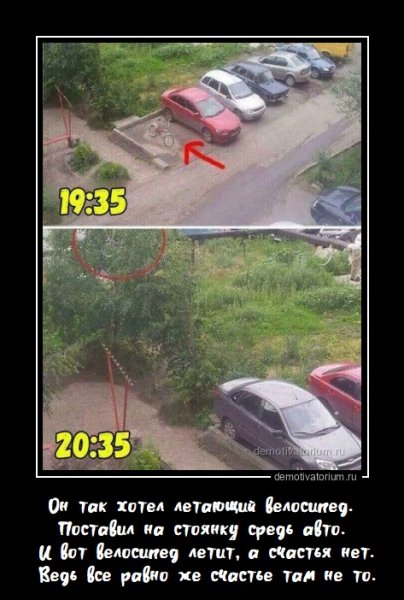 Dm temp image 31205262359068999431