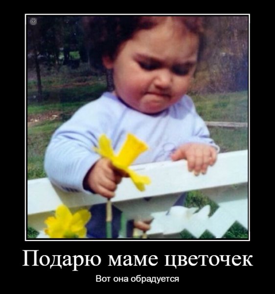 pics