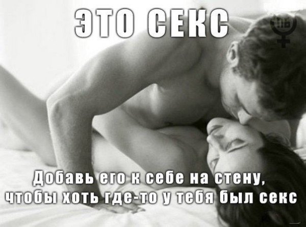 picture_291263895