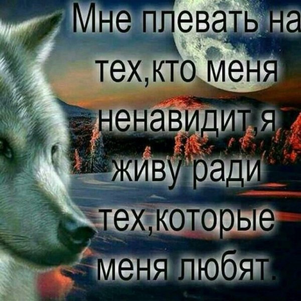 IMG 20161202 162128 105