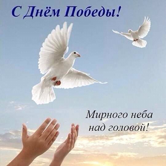 FB IMG 15573830974921447