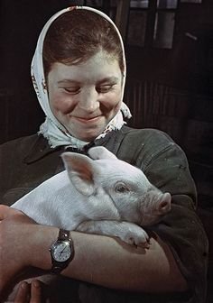 d5bdb2df5f447fdedc39aed9f97